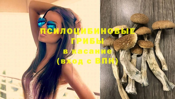 скорость Абаза